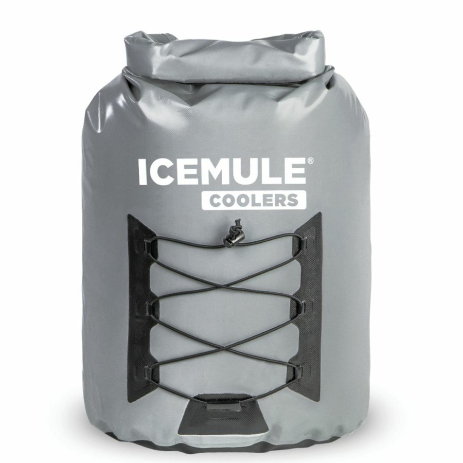 Backpacks * | Icemule Pro Large 23L