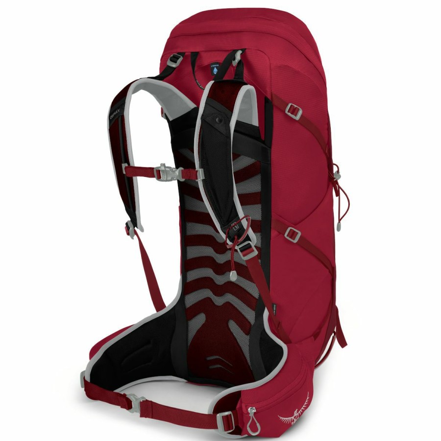 Backpacks * | Osprey Talon 36 Men'S