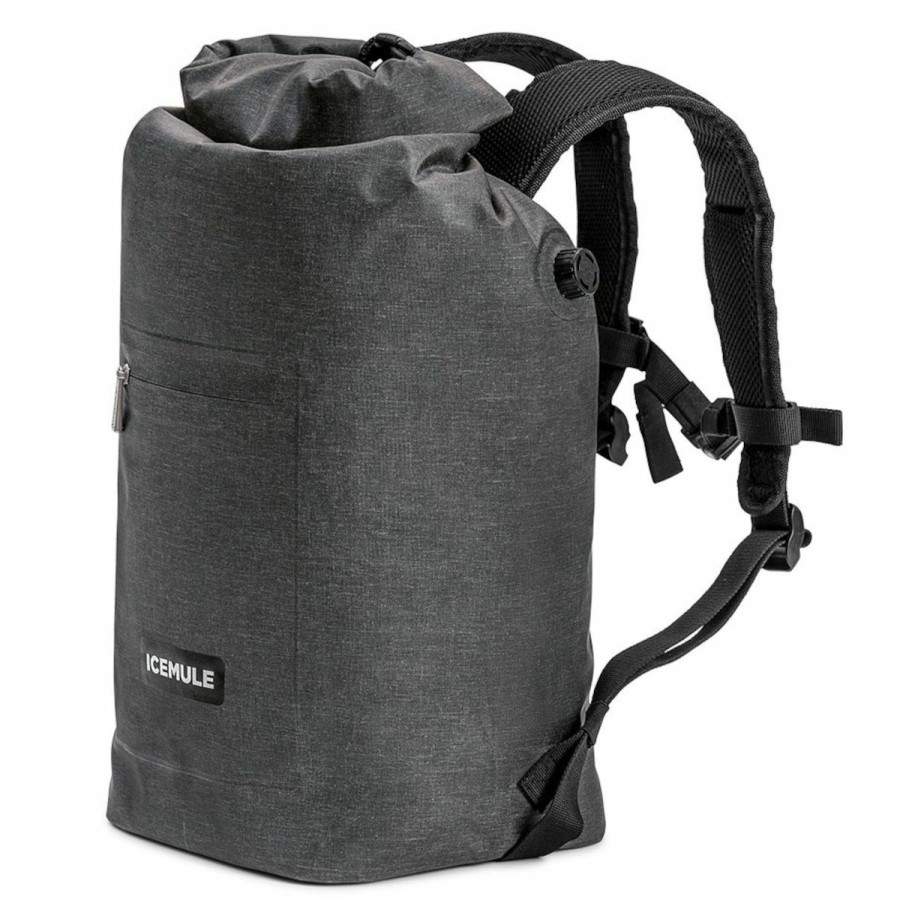 Backpacks * | Icemule Jaunt 15L