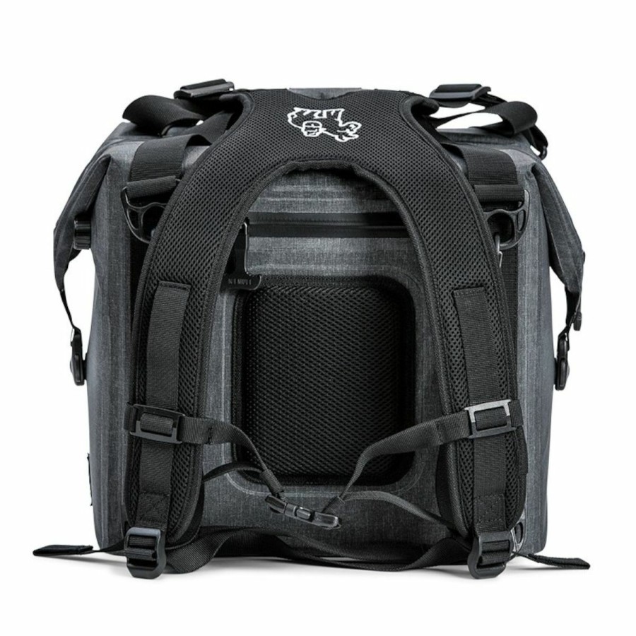 Backpacks * | Icemule Traveler 25L