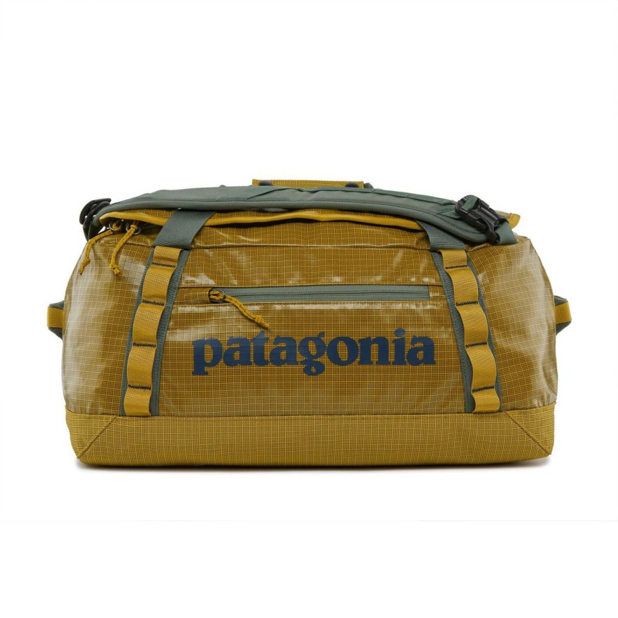 Backpacks * | Patagonia Black Hole Duffel 40L (Fall 2022)