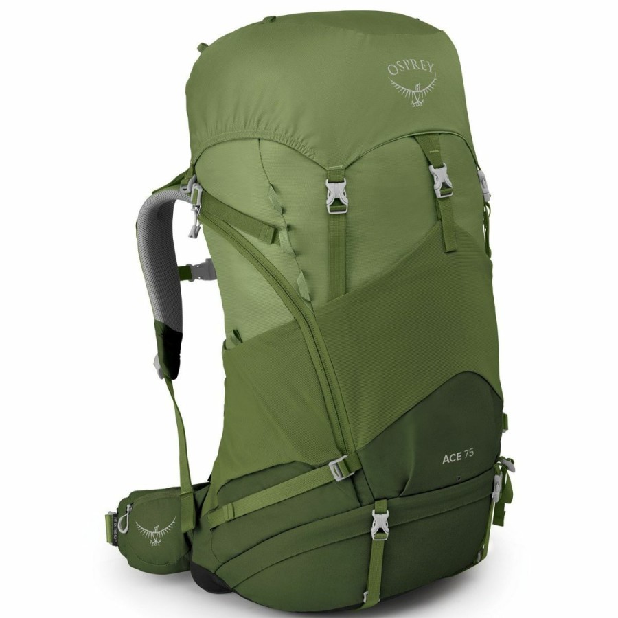 Backpacks * | Osprey Ace 75 Kid'S