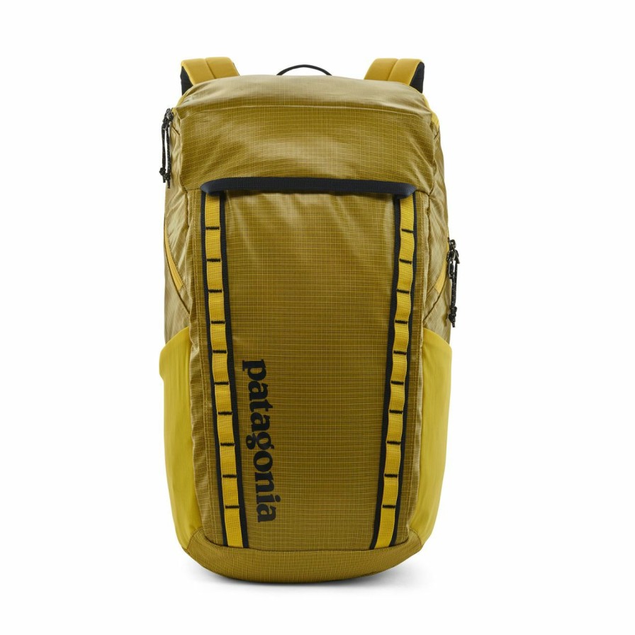 Backpacks * | Patagonia Hole Pack 32L