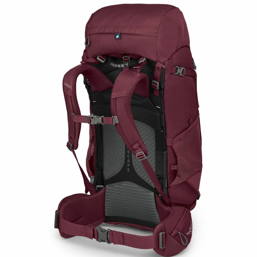 Backpacks * | Osprey Viva 65 Women'S