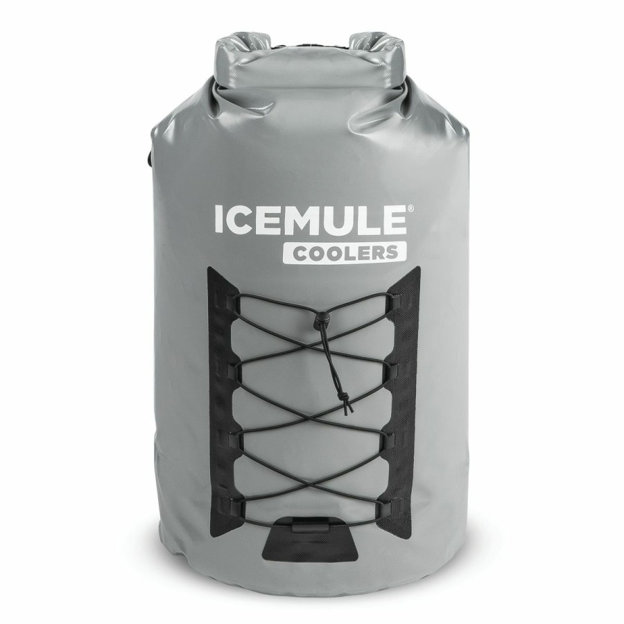 Backpacks * | Icemule Pro Xl 33L