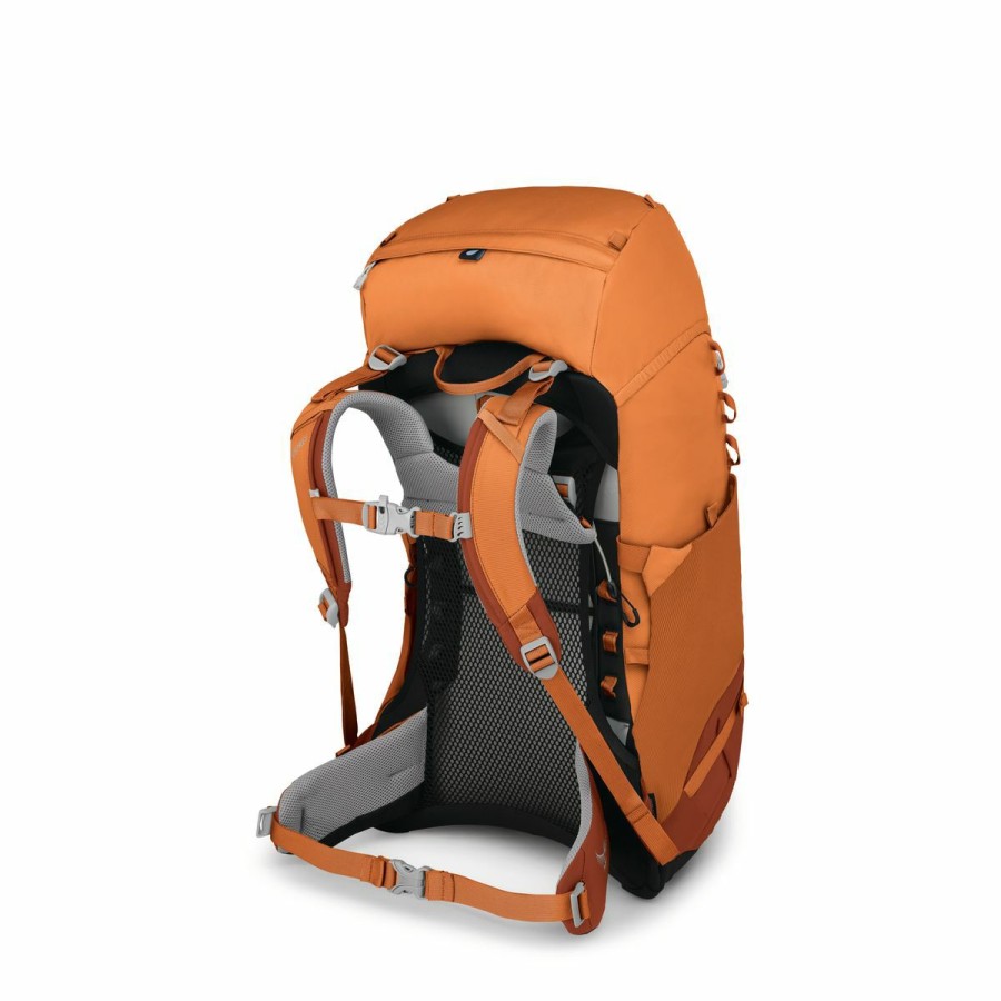 Backpacks * | Osprey Ace 38 Kid'S